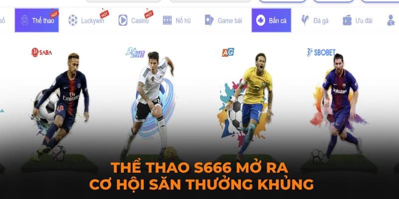 Giới thiệu chung về sảnh thể thao S666